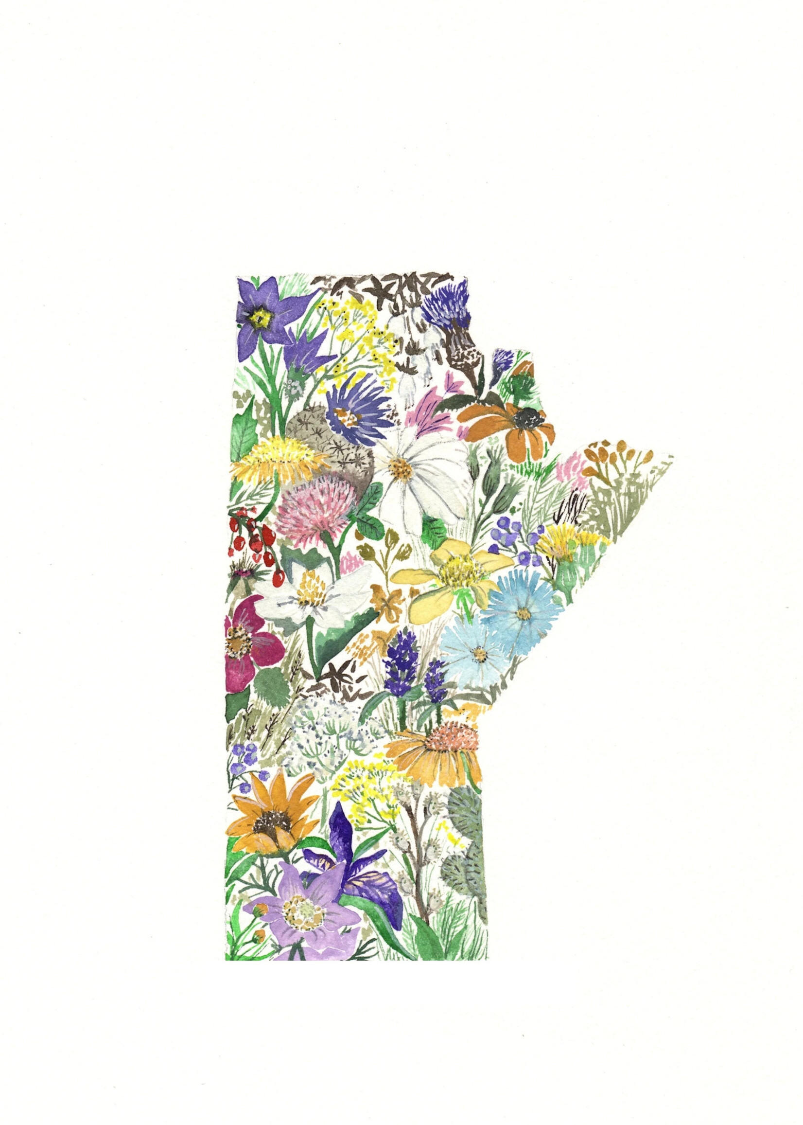 Sarah Duggan Creative Works Wildflower Prints