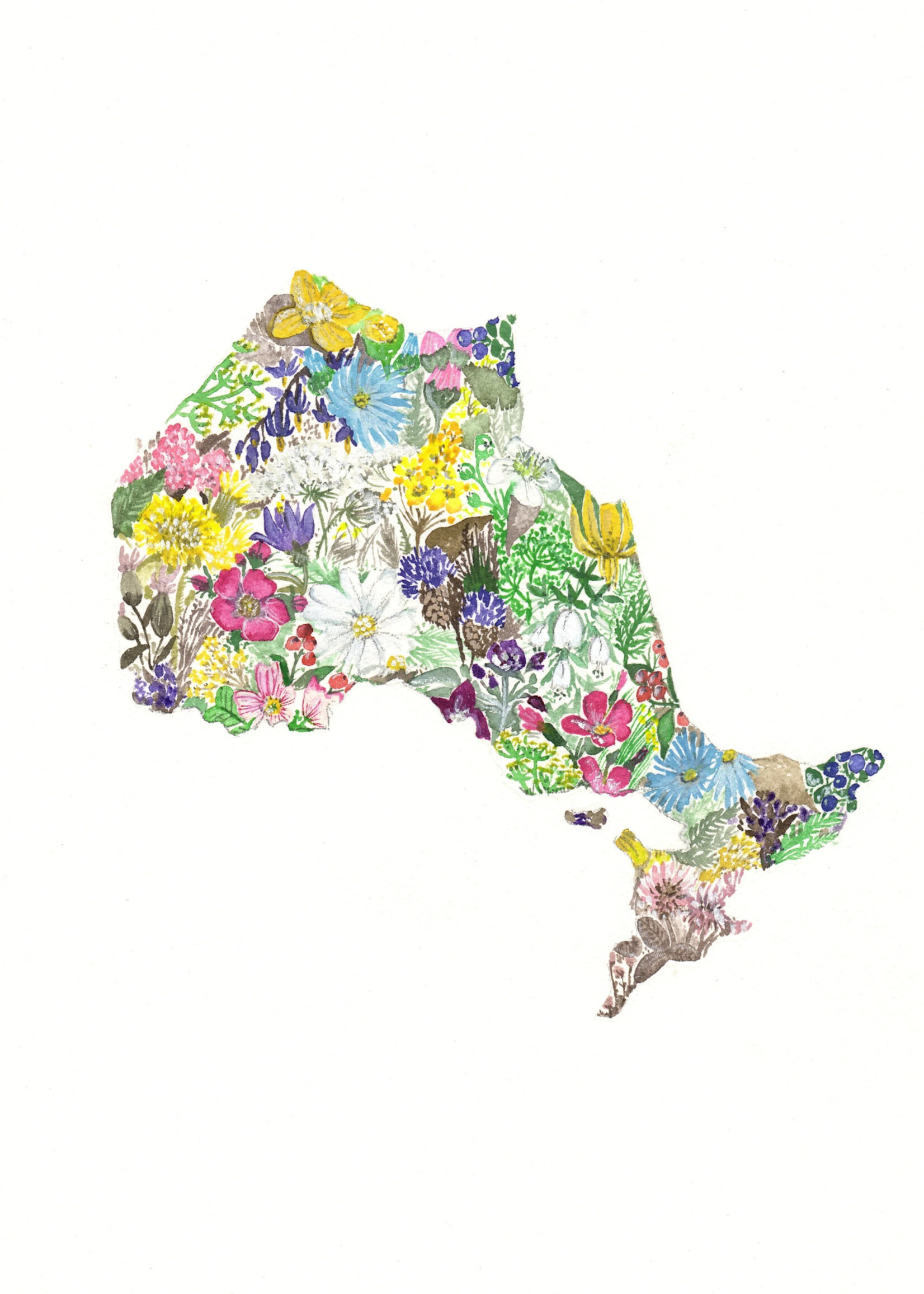 Sarah Duggan Creative Works Wildflower Prints