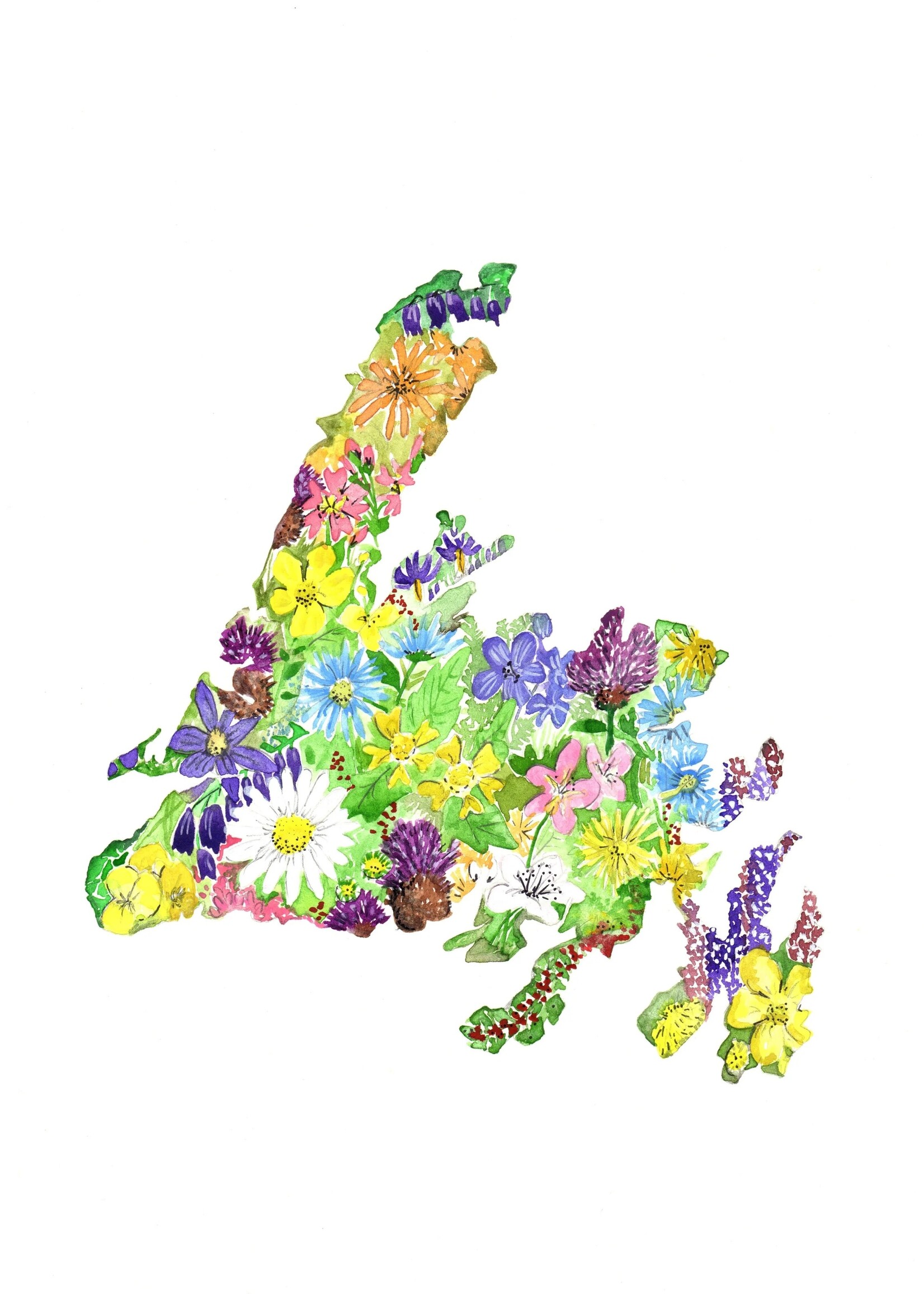 Sarah Duggan Creative Works Wildflower Prints