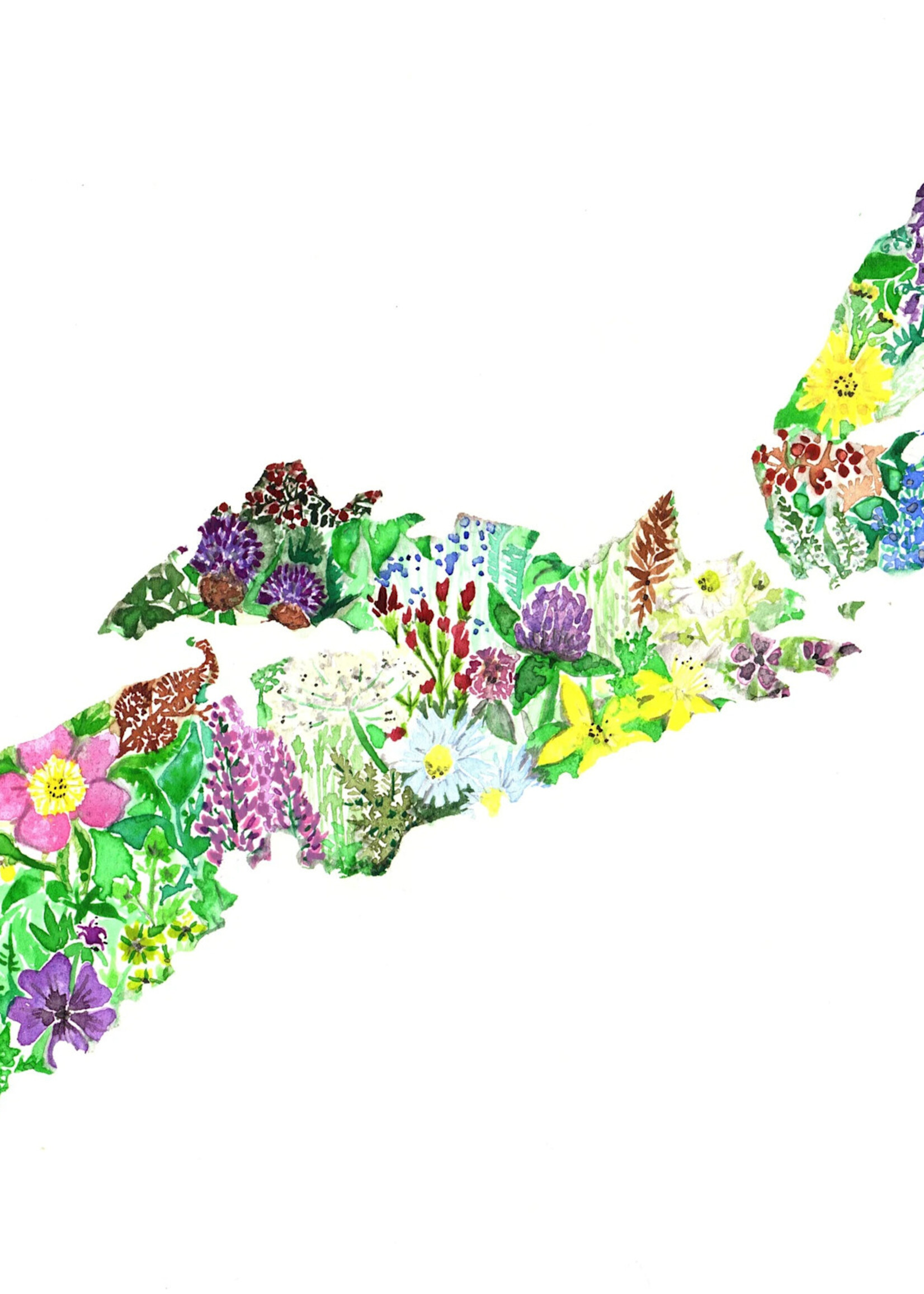 Sarah Duggan Creative Works Wildflower Prints