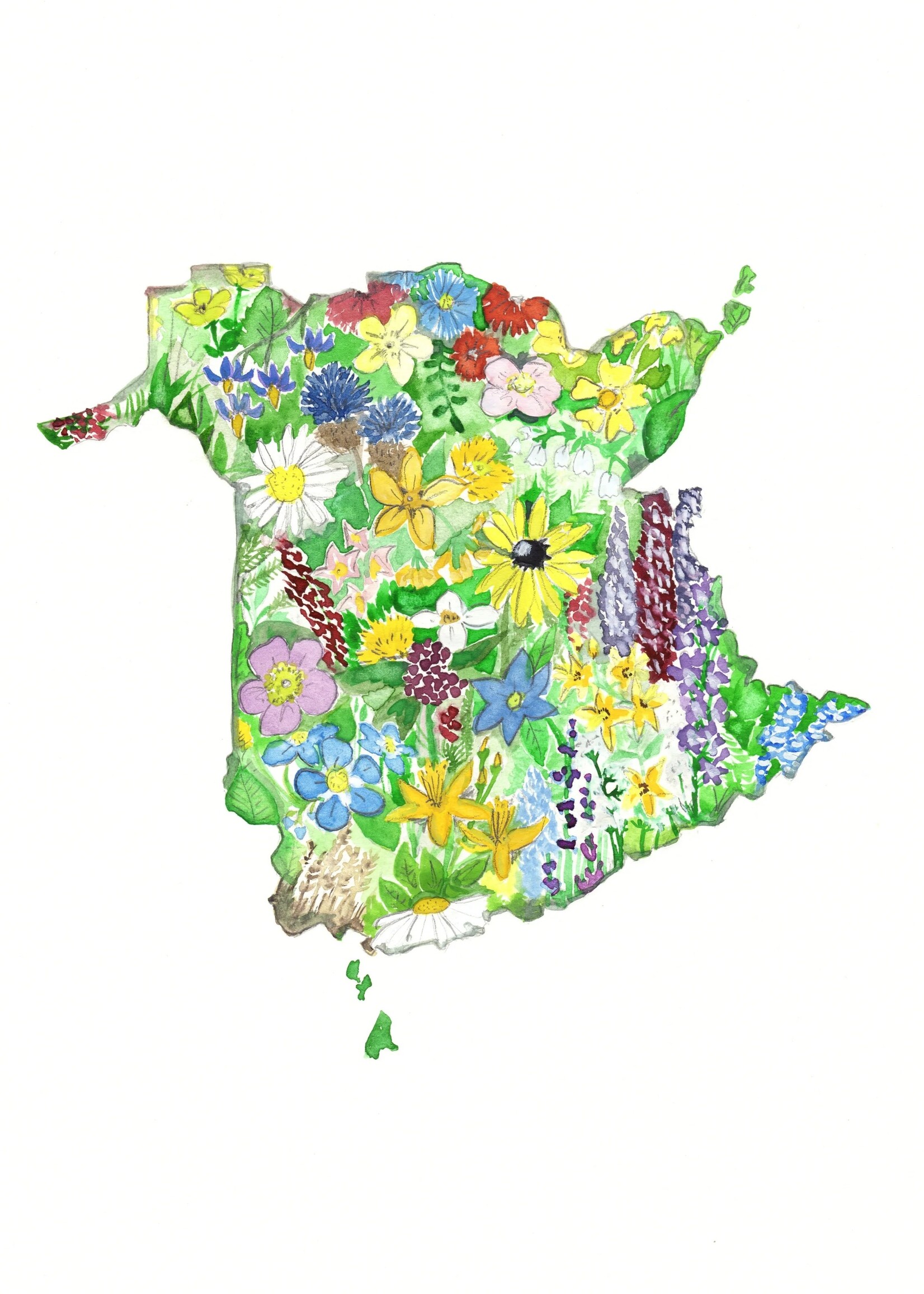 Sarah Duggan Creative Works Wildflower Prints