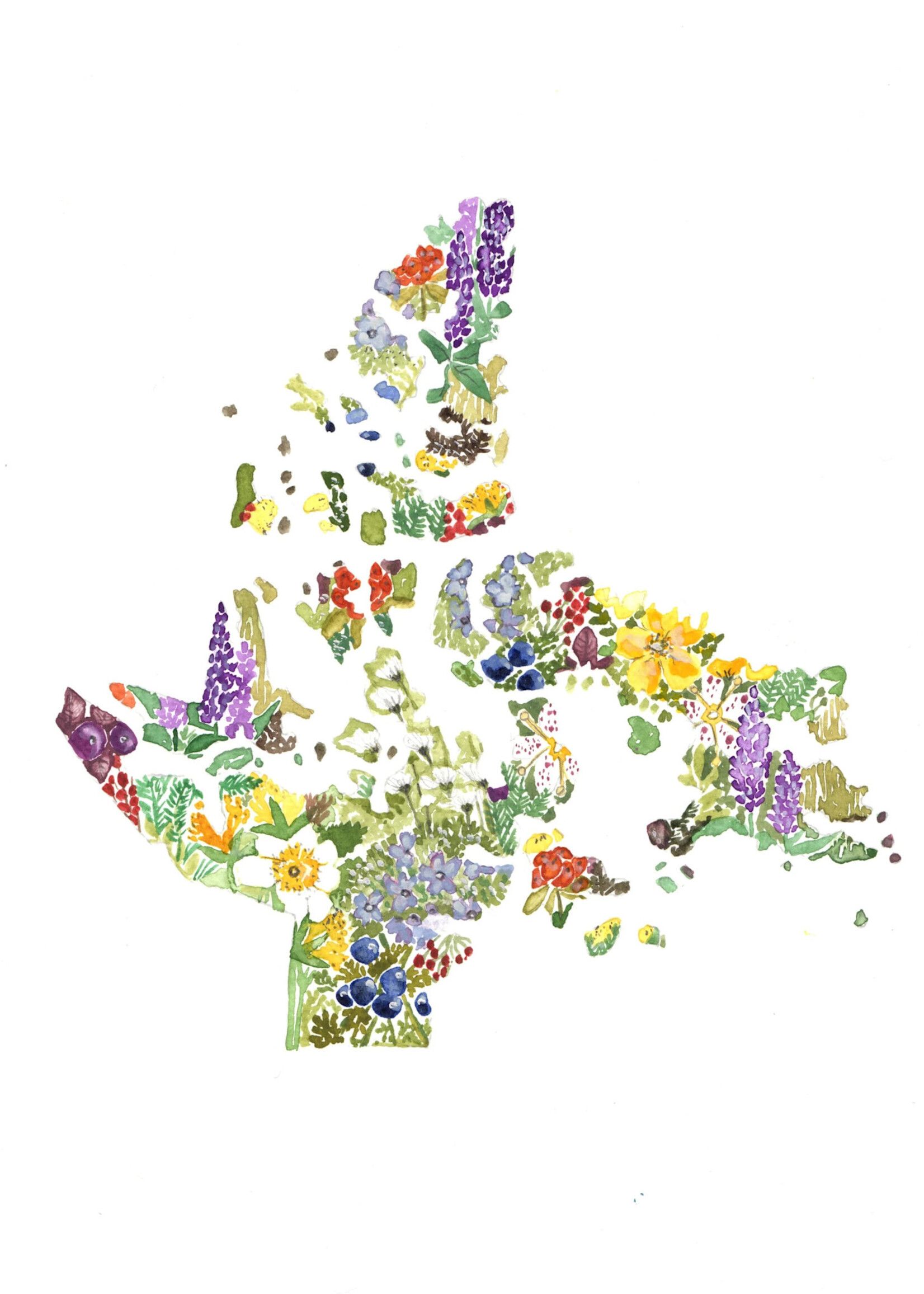 Sarah Duggan Creative Works Wildflower Prints