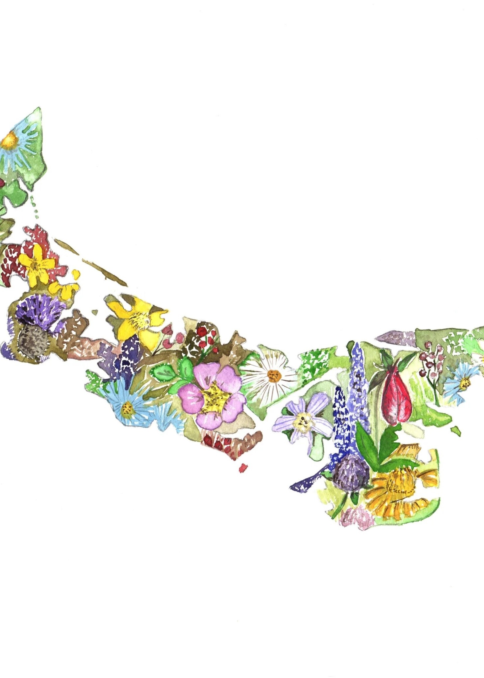 Sarah Duggan Creative Works Wildflower Prints