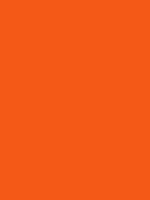 The Unique Paper Company Gift Wrap - Orange