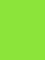 Roll Wrap - Green
