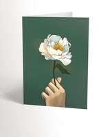 White Peony