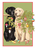 Dog Branch
