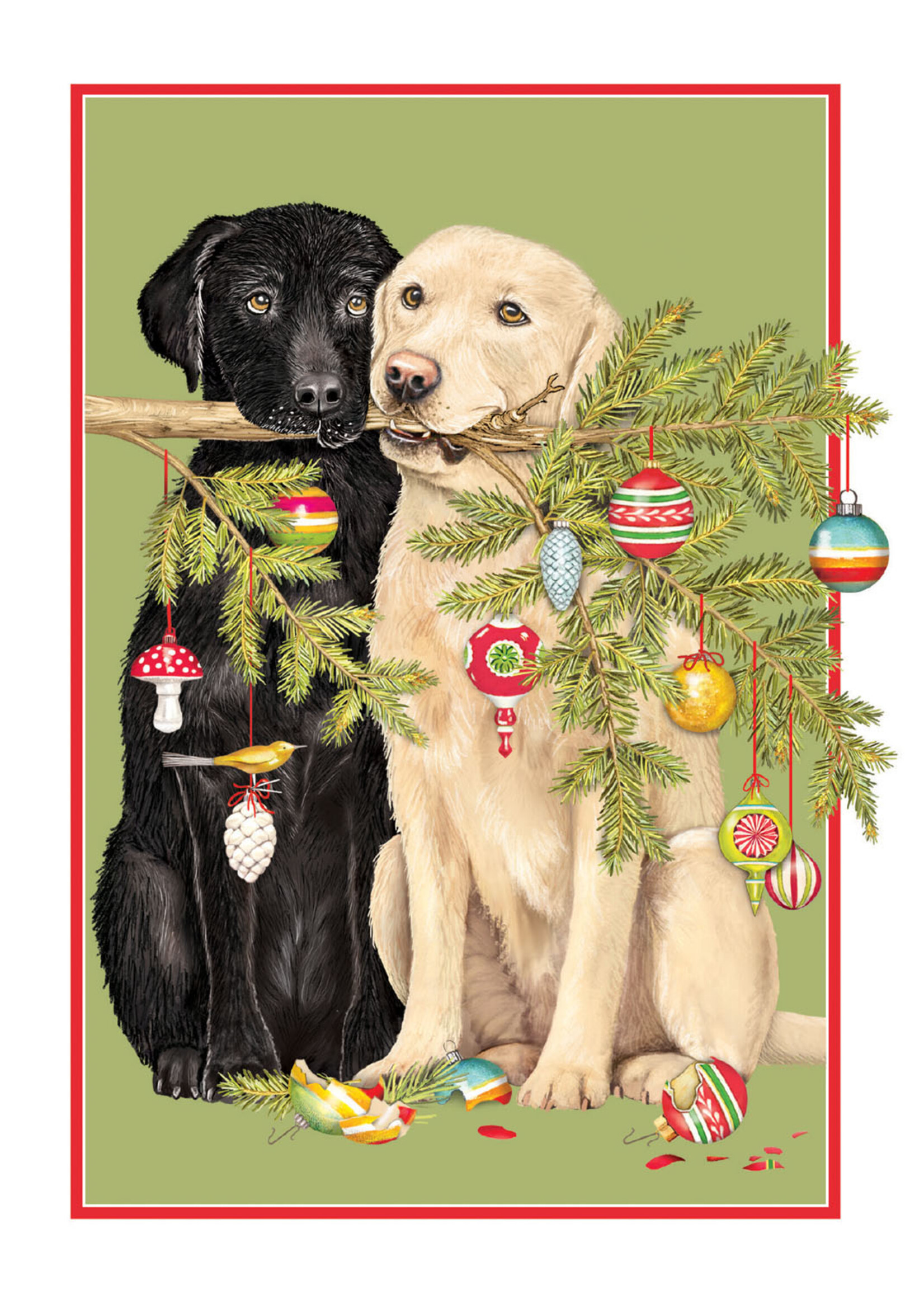 Dog Branch