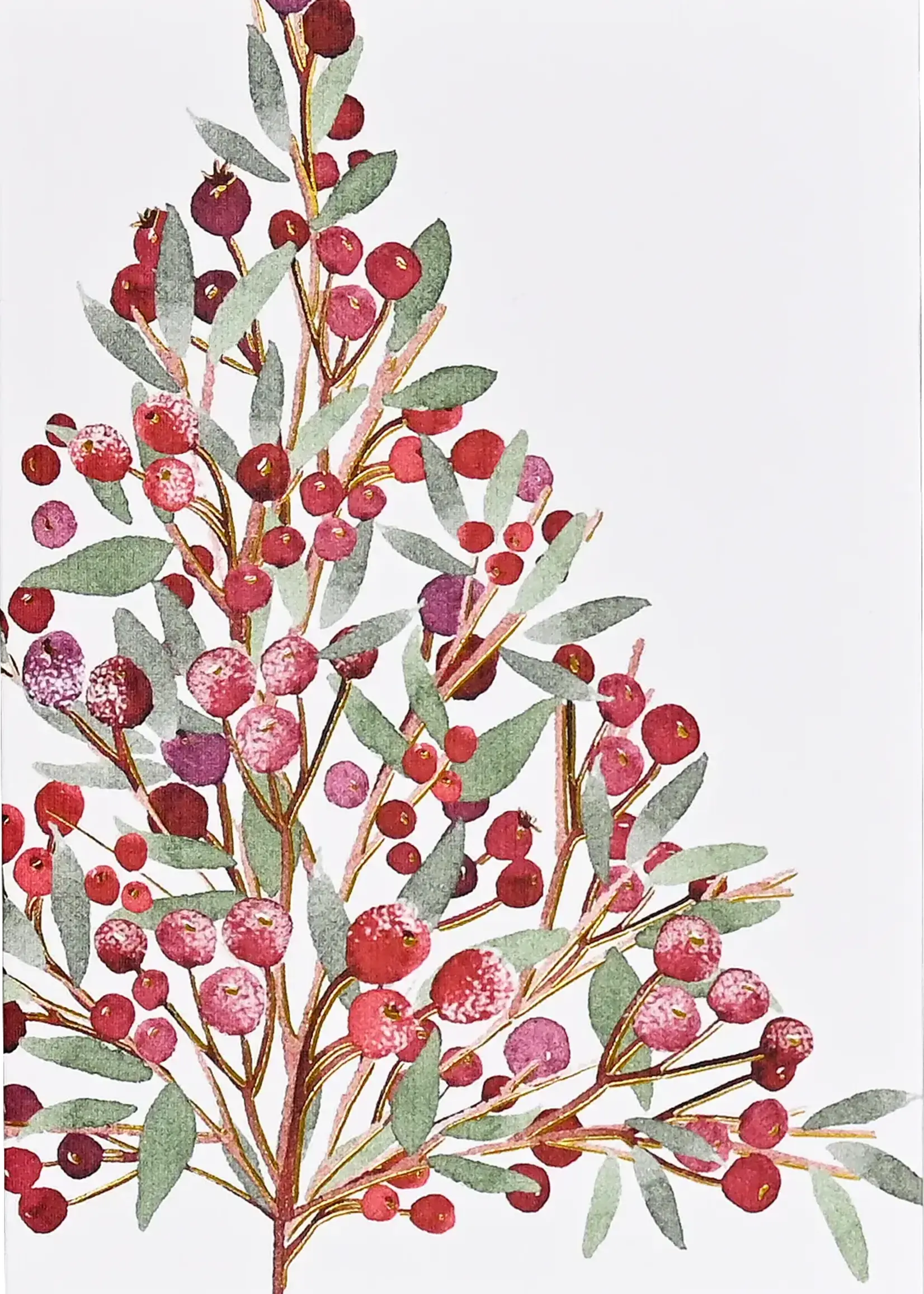 Small Boxed Holiday Cards  - Festive Bough
