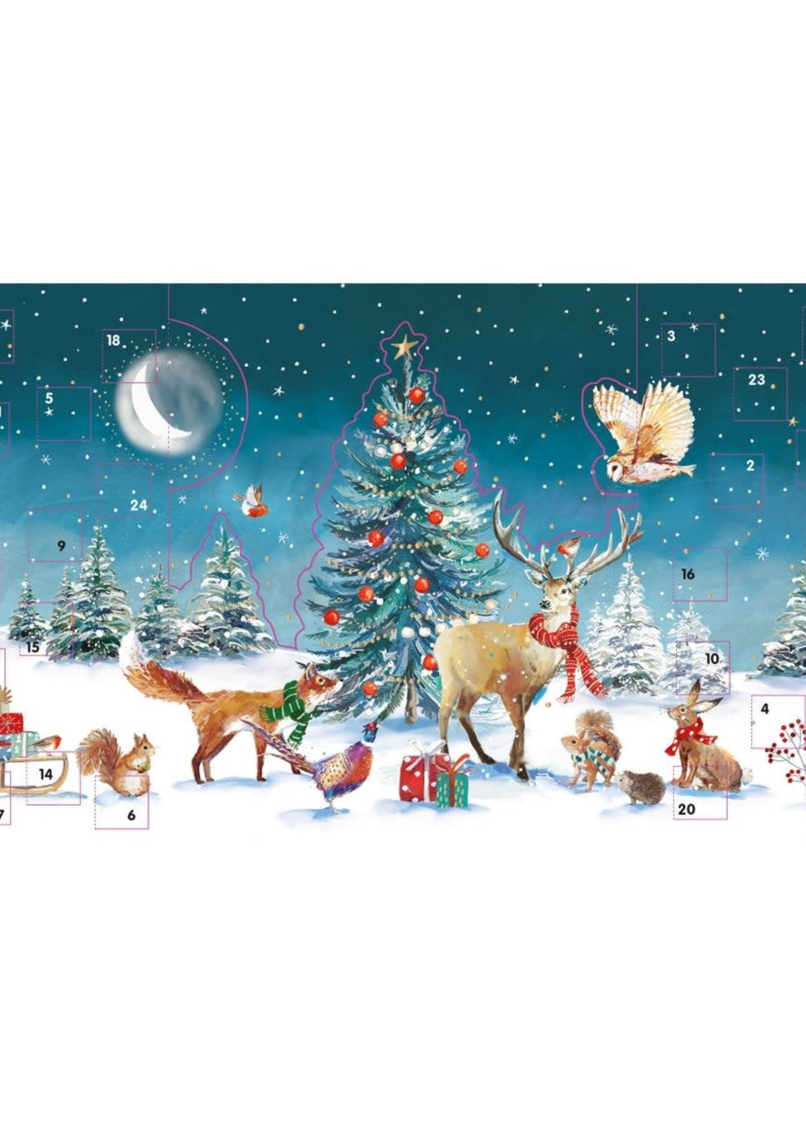 Advent Calendar (3D Design) ~ Woodland Animals at Christmas
