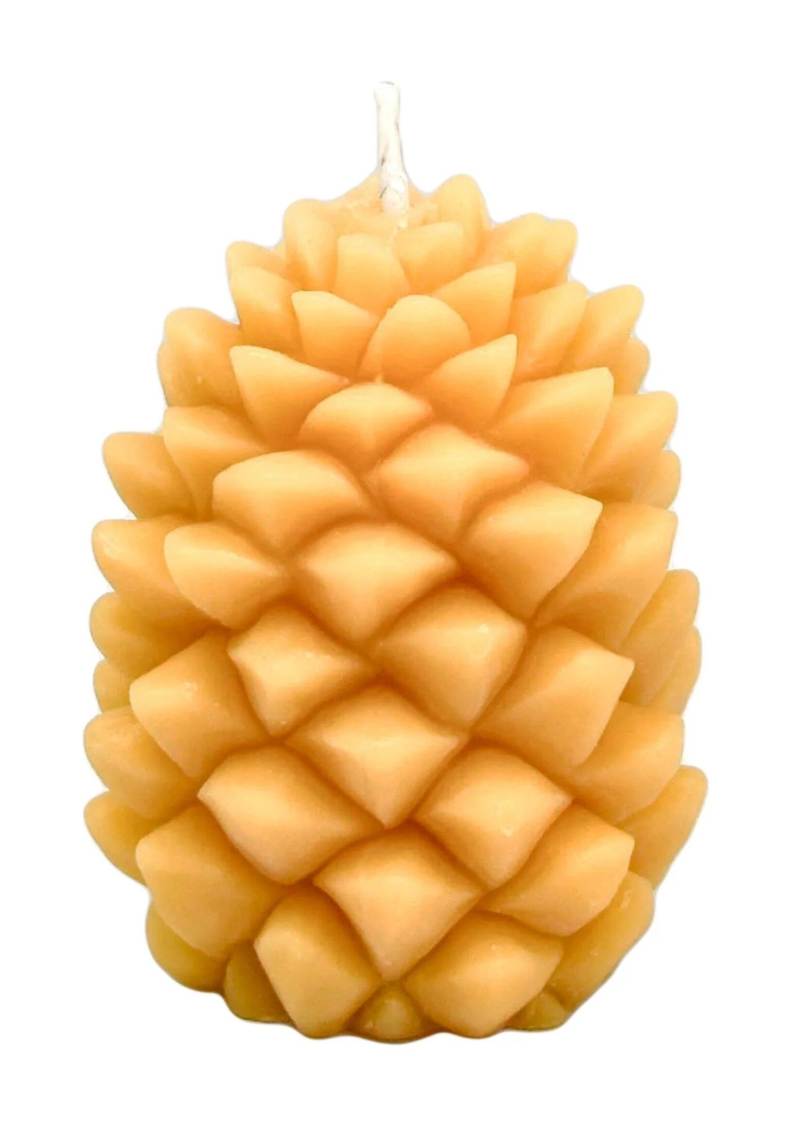 Natural Beeswax Pondarosa Pine Cone Candle