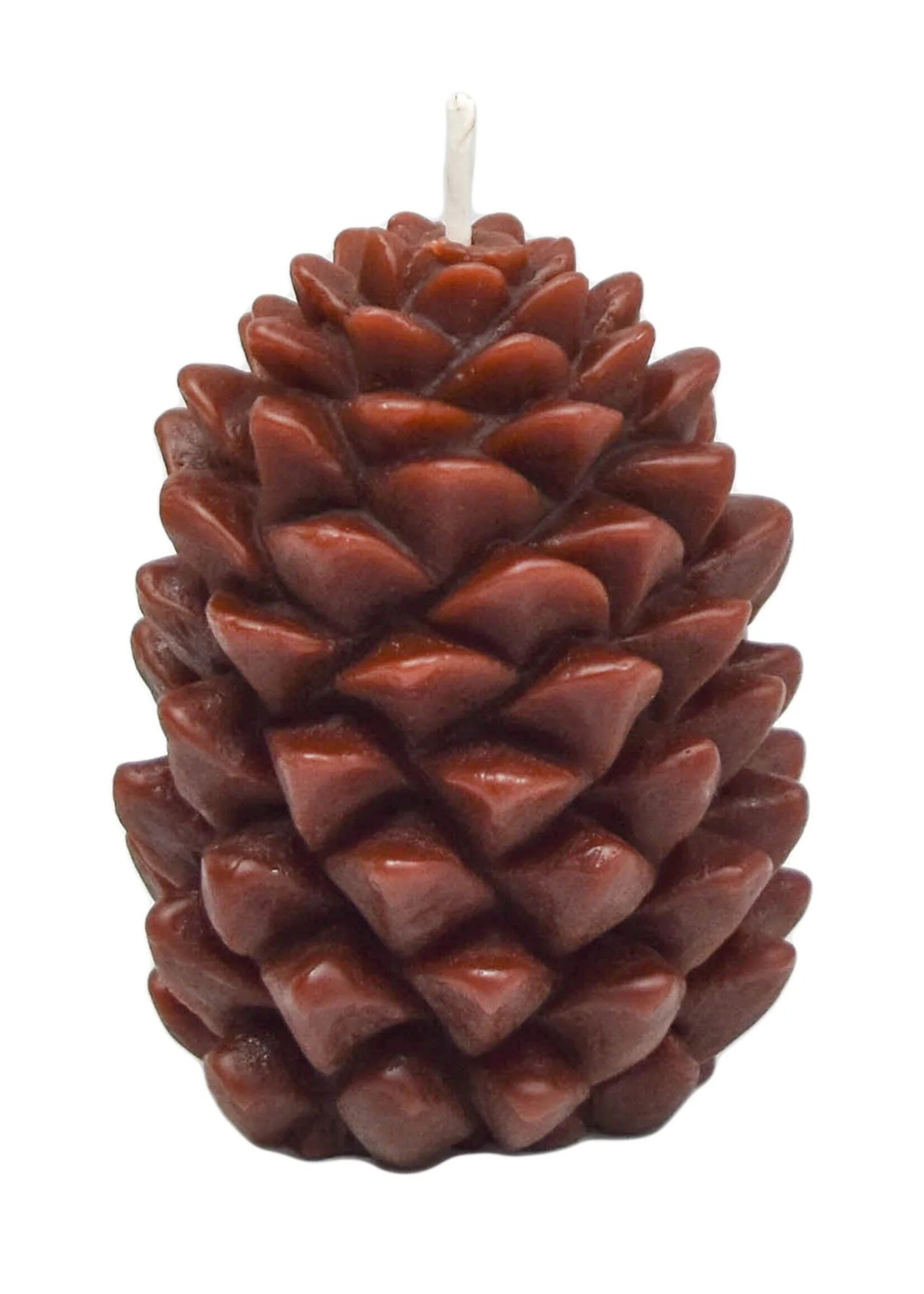 Brown Beeswax Pondarosa Pinecone Candle