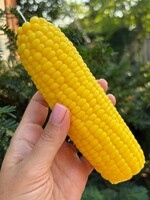 Corn Cob Candle