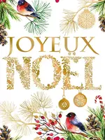 Joyeux Noel - Birds
