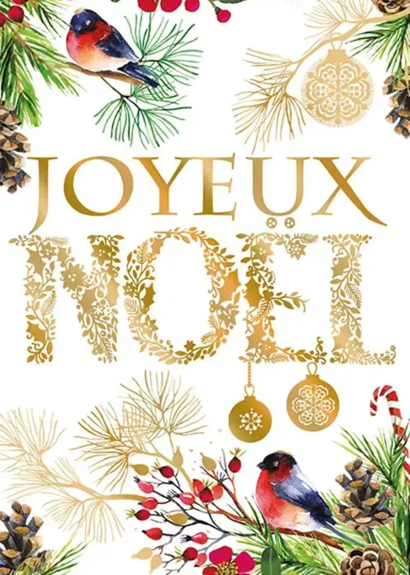 Joyeux Noel - Birds
