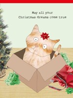 Christmas Dreams