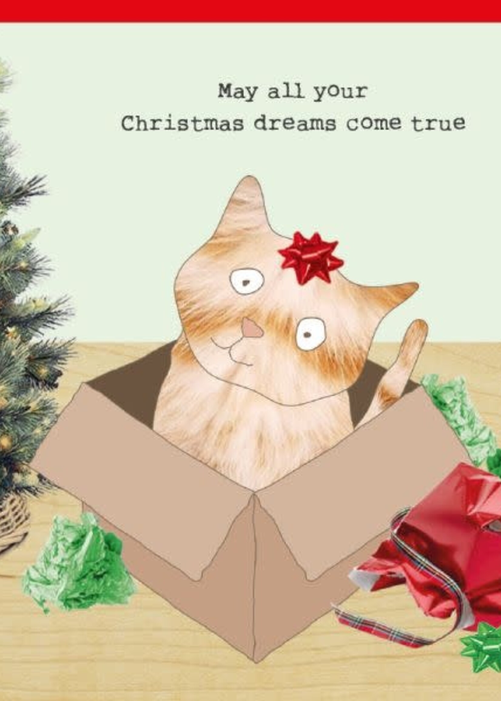 Xmas Dreams