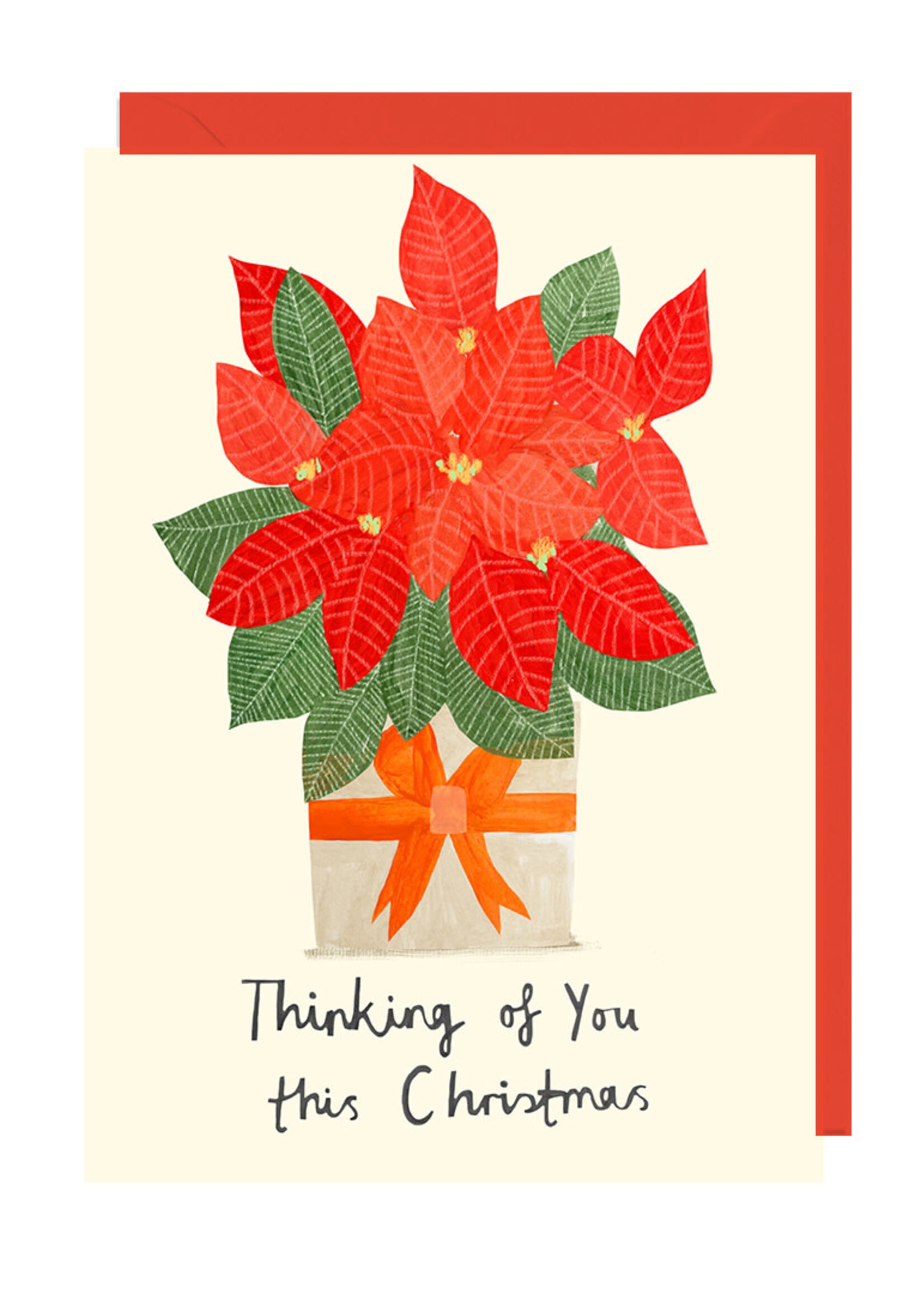 Thinking of You - Poinsettia