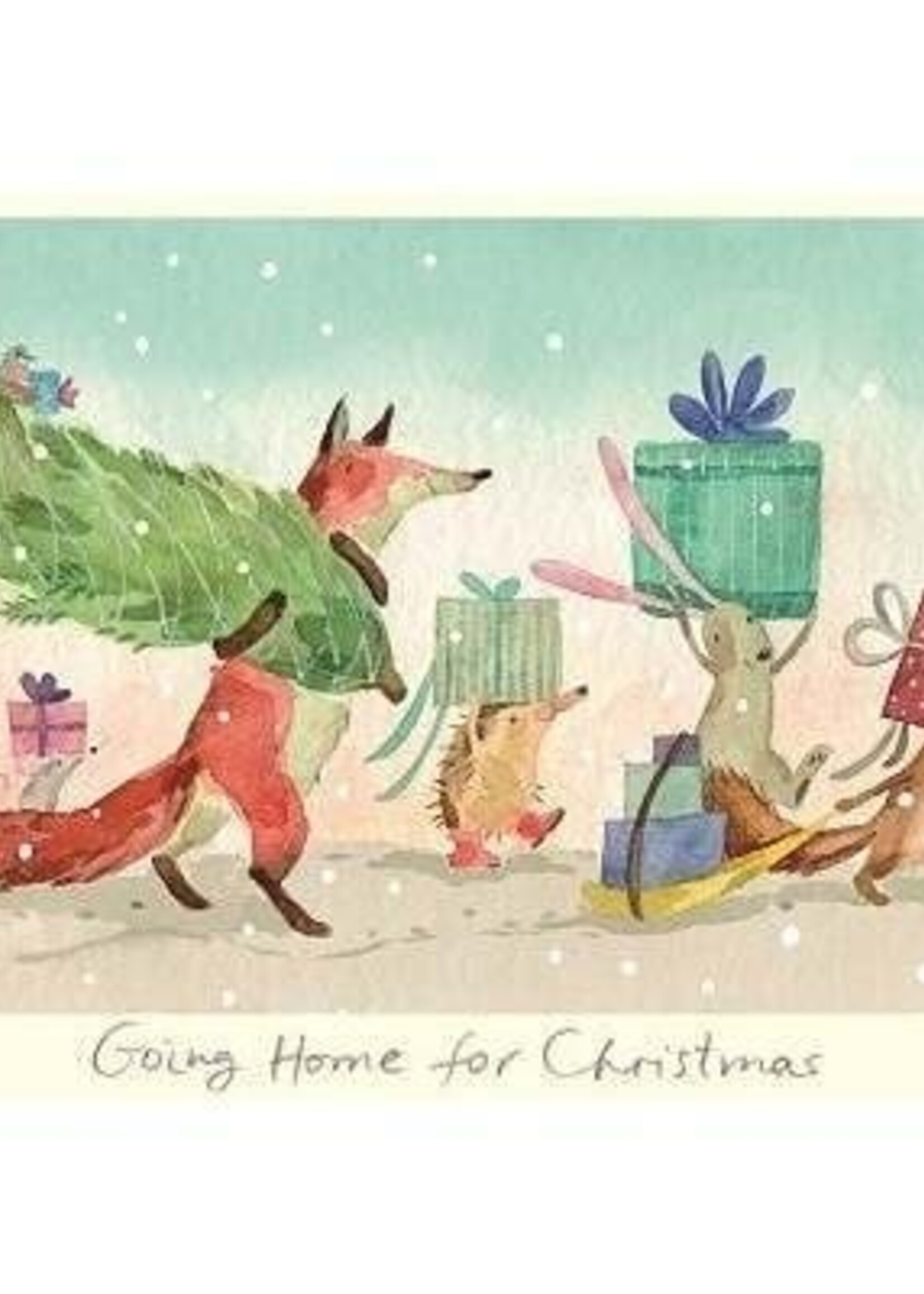 Going Home For Christmas