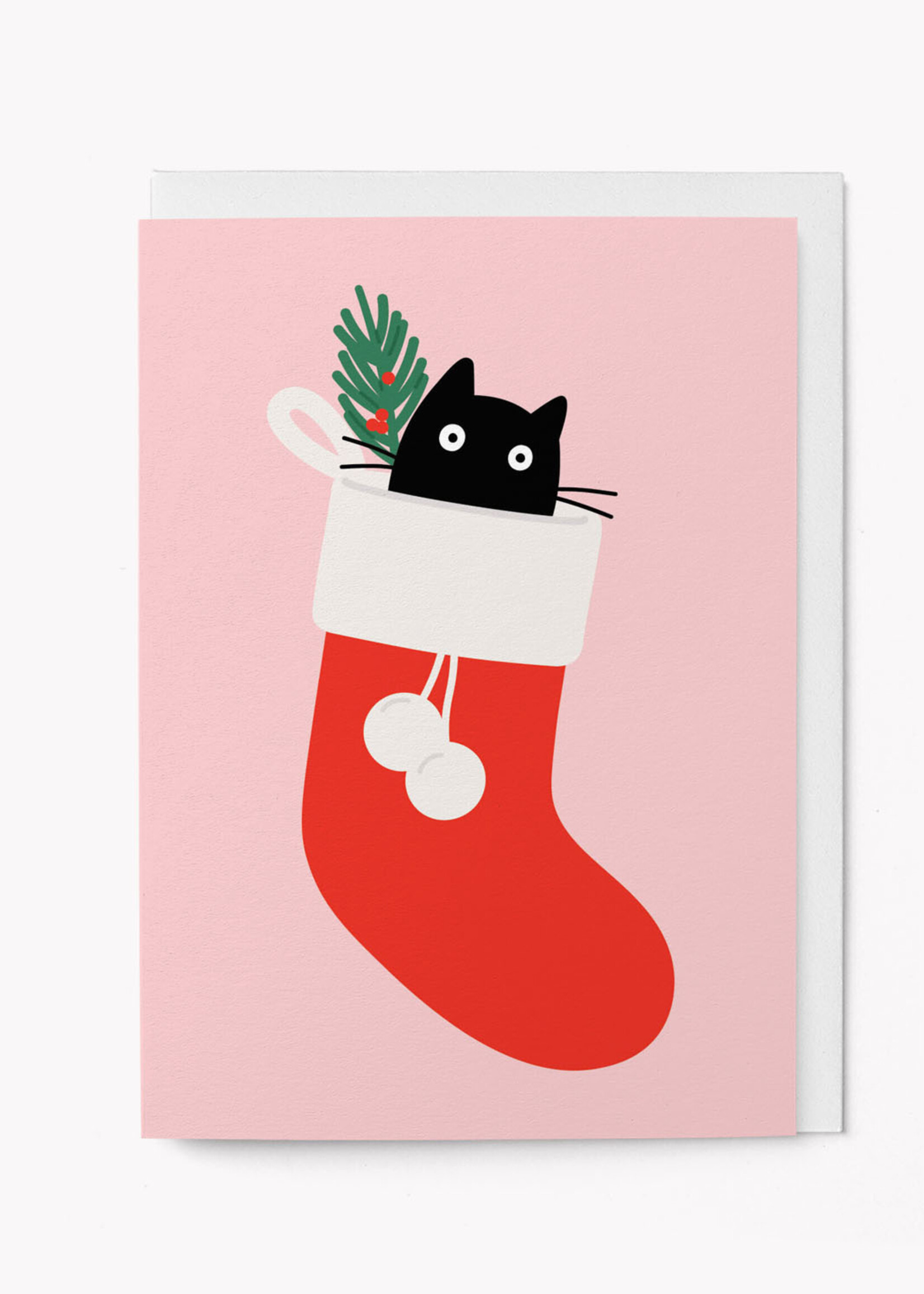 Cat in A Stocking