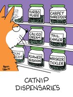 Catnip Dispensary