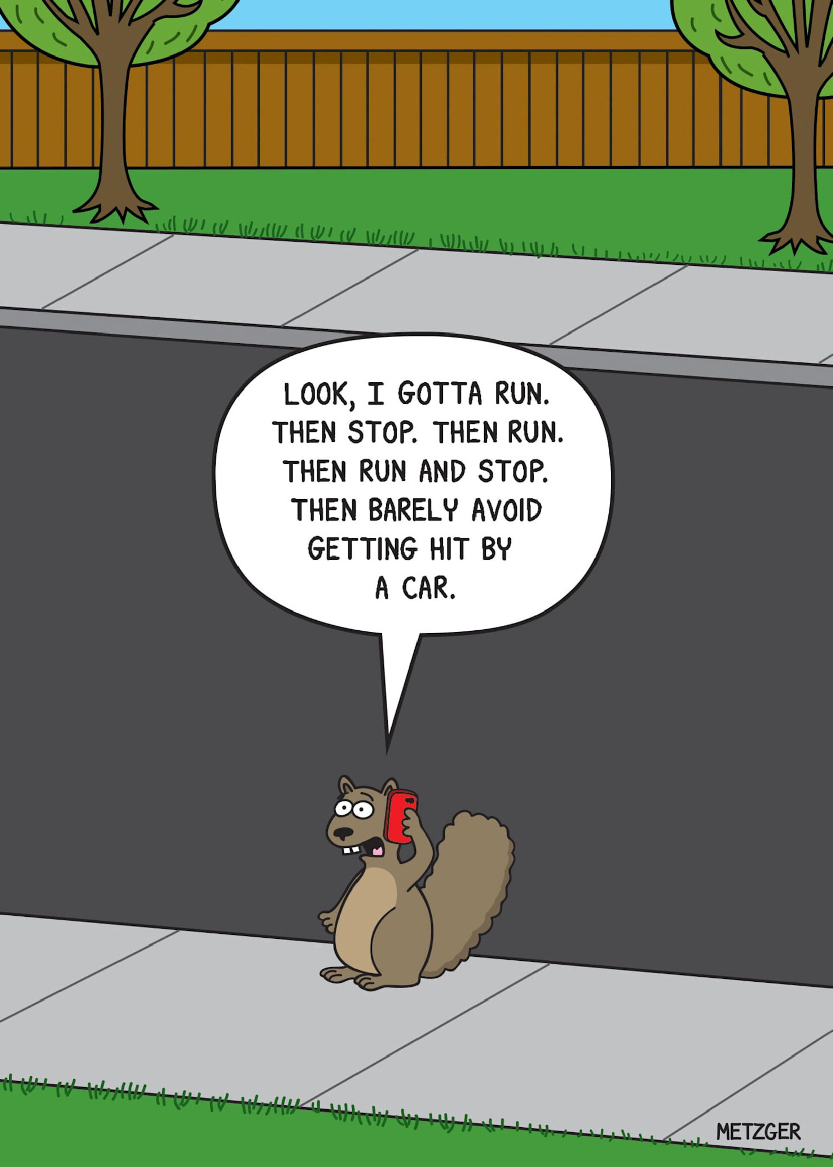 Squirrel!