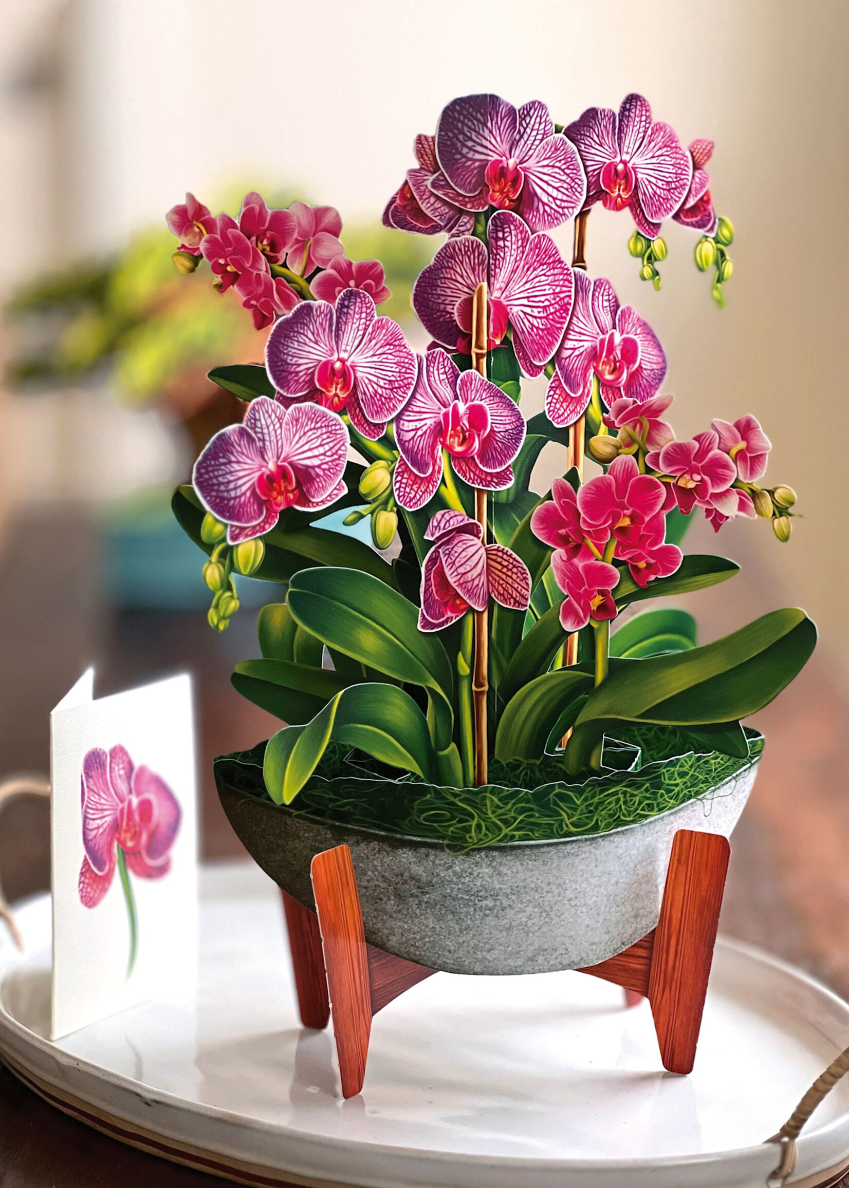 Fresh Cut Flowers Pop-Up Card - Orchid Oasis