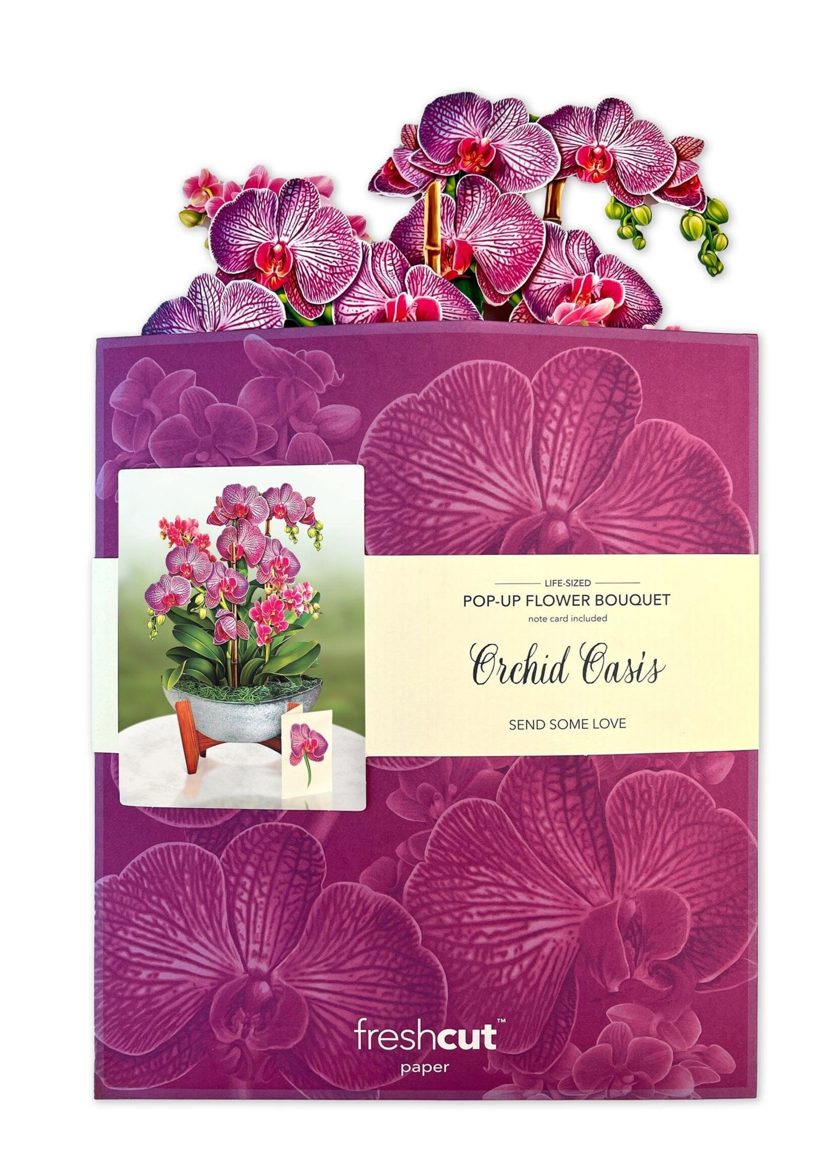 Fresh Cut Flowers Pop-Up Card - Orchid Oasis
