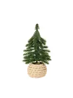 Mini Spruce Tree