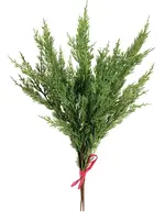 Cedar Bundle