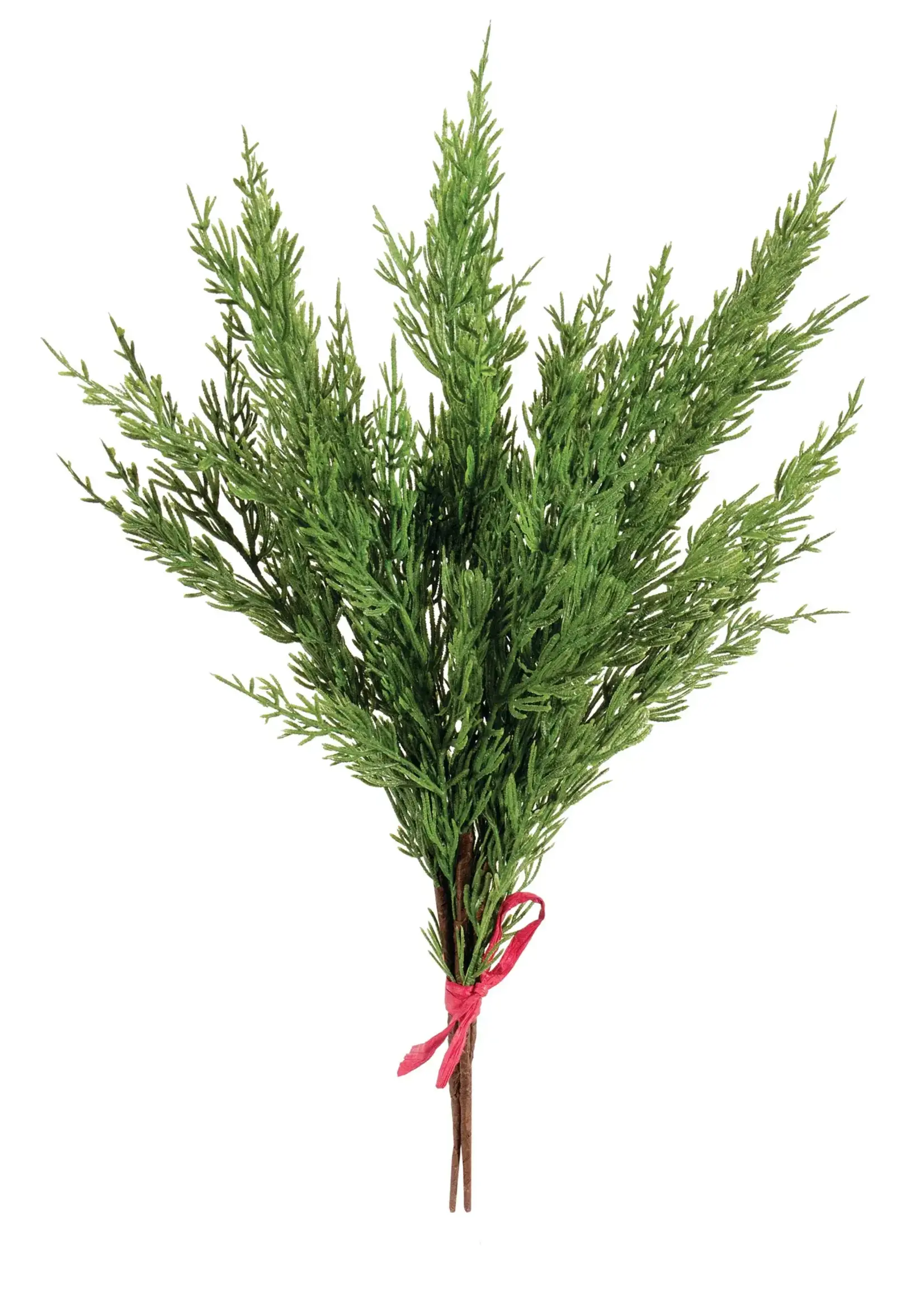 Cedar Bundle