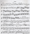 Schirmer Viotti, G.B.: Concerto No.23 in G (violin & piano)