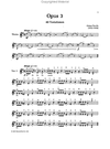 Schirmer Sevcik: Violin Studies, Op.3 - 40 Variations (violin)