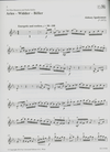 Carl Fischer Igudesman, Aleksey: Horoscope Preludes-12 Easy to Intermediate Pieces for Violin and Piano