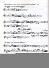 Carl Fischer Mozart, W.A. (Levin): Cadenzas to Violin Concertos, KV 207, 211, 216, 218, 219 (violin)