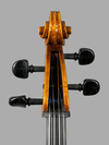 Polstein & White cello, Gofriller model, 2018, Boston | Metzler Violins