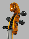 Polstein & White cello, Gofriller model, 2018, Boston | Metzler Violins