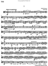 Barenreiter Smetana, Bedrich: String Quartet No. 1 in e minor -From My Life-Aus Meinem Leben (set of parts) Barenreiter