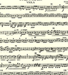 International Music Company Wolf, Hugo: Italian Serenade in G major (string quartet) set of parts