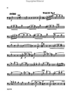 Alfred Music Strauss, J. (Paradise): The Best of Johann Strauss, Jr. Waltzes (cello)