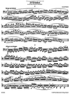 Barenreiter Merk, Joseph: 20 Etudes fur Violoncello op. 11, Barenreiter
