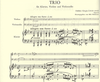 Chopin, F.: Piano Trio in G Minor Op.8 (violin, cello, piano)