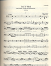 Wollenweber Tanejew (Taneieff/Taneiev), Serge:: Trio in B minor-1913 (violin, viola, cello)