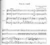Edition Kunzelmann Mendelssohn, F.: Piano Trio in C minor (violin, viola, and piano) Kunzelmann
