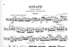 HAL LEONARD Ysaye, E. (Bellisario, ed.): Sonata, Op.28, urtext (cello and piano)