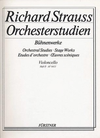 HAL LEONARD Strauss, R: Orch.StageWorksCL, V.2 Salome