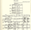 HAL LEONARD Strauss, R: Orch.StageWorksCL, V.2 Salome