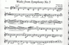 Carl Fischer Tchaikovsky, P.I. (Martelli): Waltz from Symphony No. 5 (string quartet)