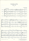 HAL LEONARD Dvorak, Antonin : Sonatine for String Quartet, Op. 100 score and parts