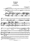 International Music Company Dvorak, Antonin: Piano Trio in E minor Op. 90 "Dumky"(violin, Cello, Piano)